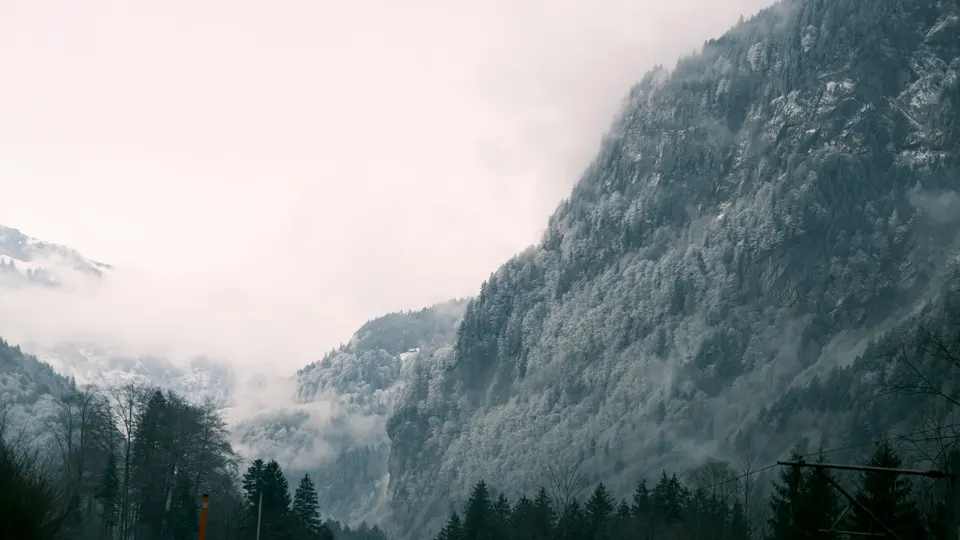 Hasenmatt, Grafenort — Classic Negative
